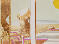 Leonardo cremonini rara usato  Palagiano