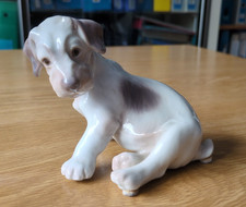 Cucciolo fox terrier usato  Milano