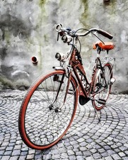 Bicicletta usato  Sassoferrato