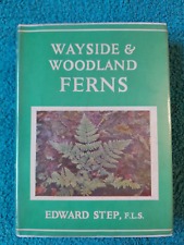 Wayside woodland ferns for sale  STROUD