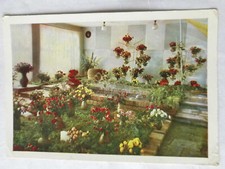 Forst rosengarten rosenschau gebraucht kaufen  Teterow