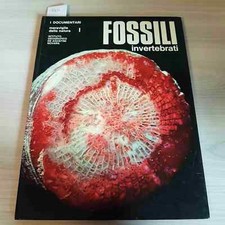Fossili invertebrati meravigli usato  Vaiano Cremasco