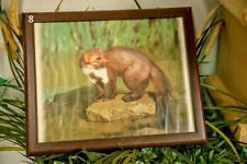 Tiermotive bilder holz gebraucht kaufen  Mömbris