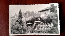 Trento trattoria alla usato  Torino