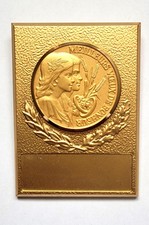 Médaille mariage vœux d'occasion  Meulan en Yvelines