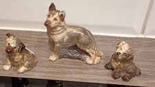 Wade alsation puppies for sale  DUDLEY