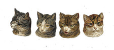 Chats d'occasion Chats d'occasion Dardilly