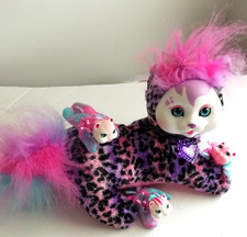 Kitty surprise babies for sale  LUDLOW
