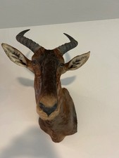 African tsessebe taxidermy for sale  Magnolia