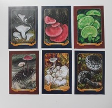 Mushrooms botanical prints for sale  BIRKENHEAD