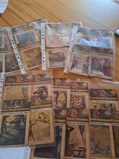 Circus sarrasani gebraucht kaufen Circus sarrasani gebraucht kaufen  Würselen