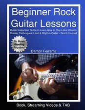 Beginner rock guitar for sale  Interlochen