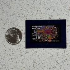 2023 diving beetle for sale  Fort Worth