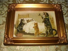 Mother cat gets for sale  Fresno