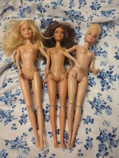 Barbie doll lot for sale  Montgomery City