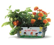 Buzzy seeds kids for sale  USA