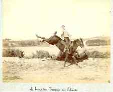 Brigadier tuyaa echasse d'occasion  Pagny-sur-Moselle