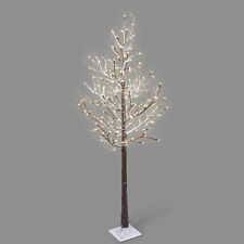 6ft 5ft birch for sale  MANCHESTER