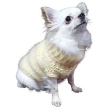 Chihuahua hundebekleidung pull gebraucht kaufen  Gelsenkirchen