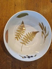 Lovely rare large for sale  INVERNESS