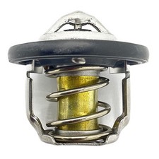 Termostato Polaris, 71C, Diesel, Peça Original do Fabricante 3070385, Qtd. 1 comprar usado  Enviando para Brazil