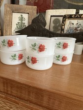 Arcopal vintage ramequins d'occasion  France