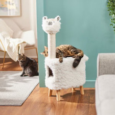 Animal series cat for sale  Perth Amboy