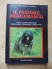 Pastore bergamasco luigi usato  Tradate