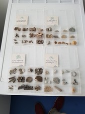 Fossilien konvolut sammlung gebraucht kaufen  Berlin