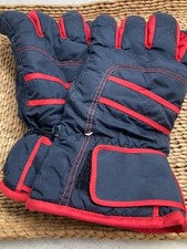 Pairs winter ski for sale  Charlotte