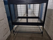 Royal suite rattenkäfig gebraucht kaufen  Mannheim