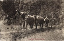 Sri lanka ceylon gebraucht kaufen  Berlin