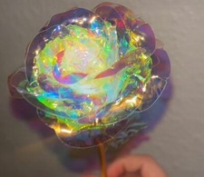 Regenbogen rose gebraucht kaufen  Aachen
