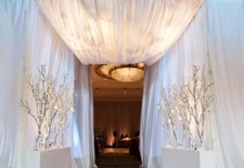 Ceiling draping sheer for sale  Atlanta
