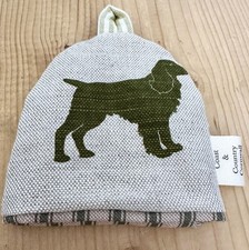Emily bond spaniel for sale  NEWQUAY