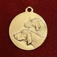 drahthaar caccia usato  Firenze