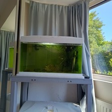 Aquariums double wooden for sale  BIRMINGHAM