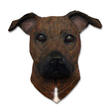 Am.staffordshire terrier testa usato  Spedire a Italy
