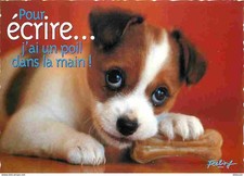 Animaux chiens jack d'occasion  Fruges