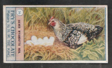 1912 fry birds for sale  WELLS