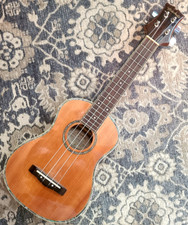 Mitchell ukulele fret for sale  New Orleans