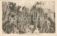 Cartão postal antigo de Mônaco Exotic Gardens Les Jardins (315-C), usado comprar usado  Enviando para Brazil