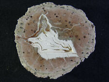 Achat agate spiesberg gebraucht kaufen  Hartha