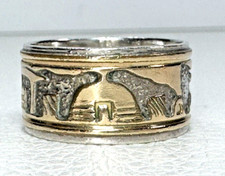 Sterling silver native for sale  Orlando