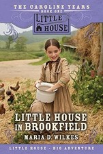 Little house brookfield for sale  UK