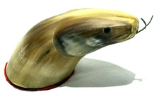 horns snake head for sale  Loxahatchee