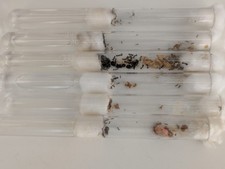 Fourmis espèces messor d'occasion  Manduel