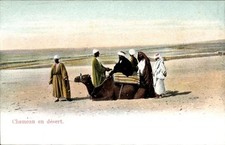ägypten nomaden kamel gebraucht kaufen  Berlin