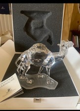 Dromedario swarovski originale usato  Sanremo