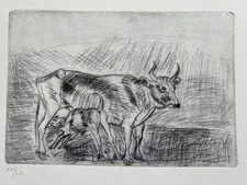 Puntasecca originale antonio usato Puntasecca originale antonio usato  Italia